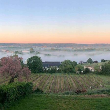 Maison Vue Panoramique Depuis Le Coteau De Chinon Luaran gambar